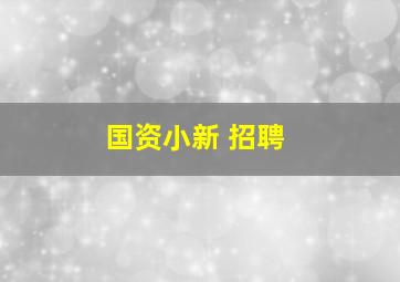 国资小新 招聘